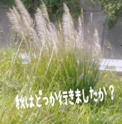 爆安＜元祖＞どすこい倶楽部　★体験さおり★宮崎店