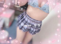 Flower(フラワー)　