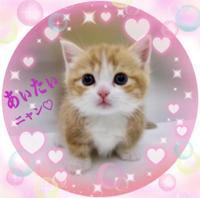 待ちナビ らいあ 只今、準備中♪