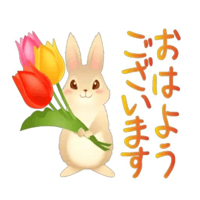 宮崎ちゃんこ都城店　すみれ