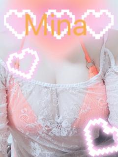 MICHELIN ミシュラン　ミナ(MINA)