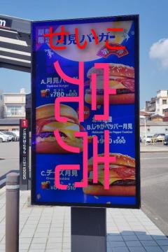 鹿児島ちゃんこ薩摩川内店　せいこ