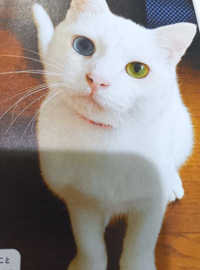 待ちナビ さとみ こんばんは