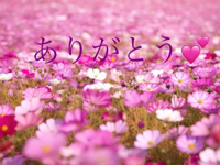 待ちナビ　いろは