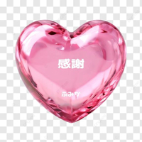宮崎ちゃんこ都城店　ふみか