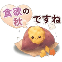 宮崎ちゃんこ都城店　すみれ