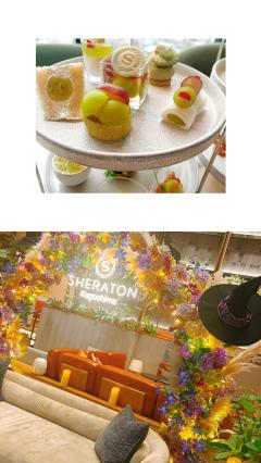 おかあさんといっしょ都城店　