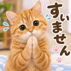 JaPON　美鈴ﾐｽｽﾞ