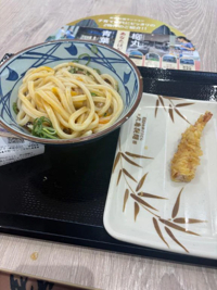 MIYAZAKI SANSAIN　リザ