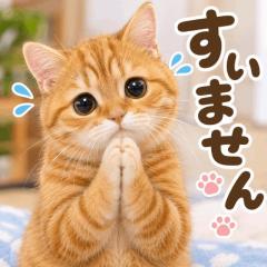 JaPON　美鈴ﾐｽｽﾞ