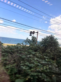 趣