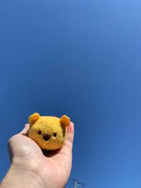 今日はお休み