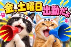 JaPON　瀬奈ｾﾅ
