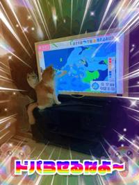 待ちナビ　