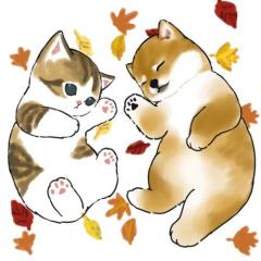  當真紗彩