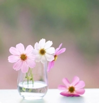 池袋㊙エステフル勃起　長澤みき