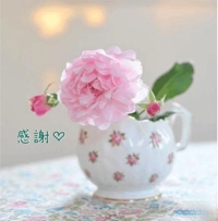 池袋㊙エステフル勃起 長澤みき 感謝