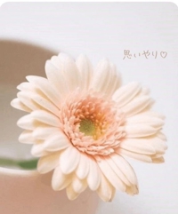 池袋㊙エステフル勃起 長澤みき 思いやり