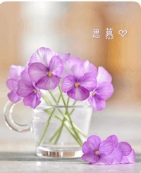 池袋㊙エステフル勃起 長澤みき 思慕の出会い