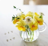 池袋㊙エステフル勃起 長澤みき 小さな幸せ