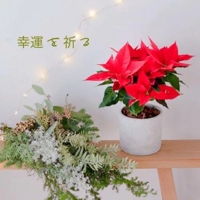 池袋㊙エステフル勃起 長澤みき 幸運な1日を