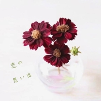 池袋㊙エステフル勃起 長澤みき 恋の思い出