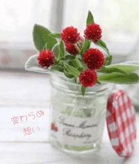 池袋㊙エステフル勃起 長澤みき 変わらぬ想い