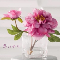 池袋㊙エステフル勃起 長澤みき 思いやり