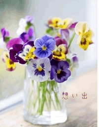 池袋㊙エステフル勃起 長澤みき 想い出