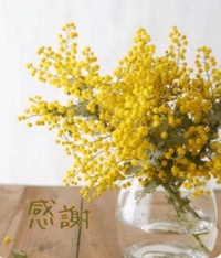 池袋㊙エステフル勃起 長澤みき 皆さまに感謝