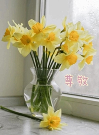 池袋㊙エステフル勃起 長澤みき 静かな尊敬