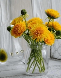 池袋㊙エステフル勃起 長澤みき 小さな幸せ