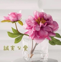 池袋㊙エステフル勃起 長澤みき 誠実な愛