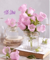 池袋㊙エステフル勃起 長澤みき 感謝の朝