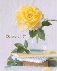 池袋㊙エステフル勃起 長澤みき 温かい気持ち