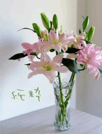 池袋㊙エステフル勃起 長澤みき 純粋な優しさ