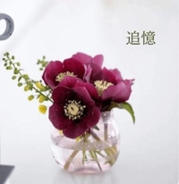 池袋㊙エステフル勃起 長澤みき 追憶のクリスマス