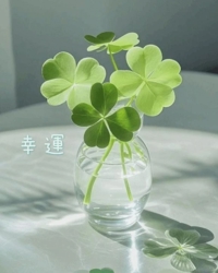 池袋㊙エステフル勃起 長澤みき 幸運の朝