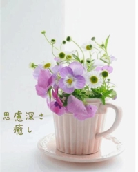 池袋㊙エステフル勃起(豊島区出張アロマエステ) 長澤みき