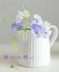 池袋㊙エステフル勃起 長澤みき 静かな想い