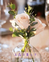 池袋㊙エステフル勃起 長澤みき 上品な美しさ