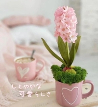 池袋㊙エステフル勃起 長澤みき しとやかな可愛らしさ