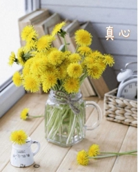 池袋㊙エステフル勃起 長澤みき まごころ