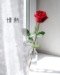 池袋㊙エステフル勃起 長澤みき 情熱