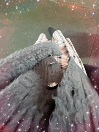 池袋㊙エステフル勃起 本城あゆみ 待機に戻ってます