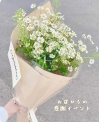 池袋㊙エステフル勃起 長澤みき ちょっとお得なイベント