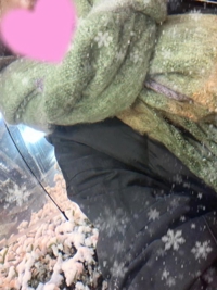 池袋㊙エステフル勃起　本城あゆみ