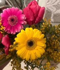 寒いけど、気持ちは春