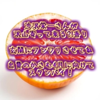 渋沢さんと仲良しさん