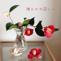 控えめな優しさ